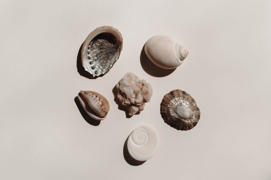 漳浦开渔 千帆竞发赴蓝海